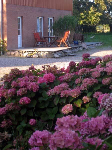 Hof Faasel - Bauernhofurlaub An Der Ostsee Grömitz Eksteriør billede